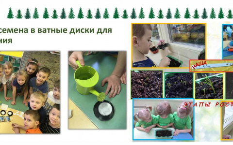 Итоги конкурса «Школа деток Кремлевской Ёлки 2021»